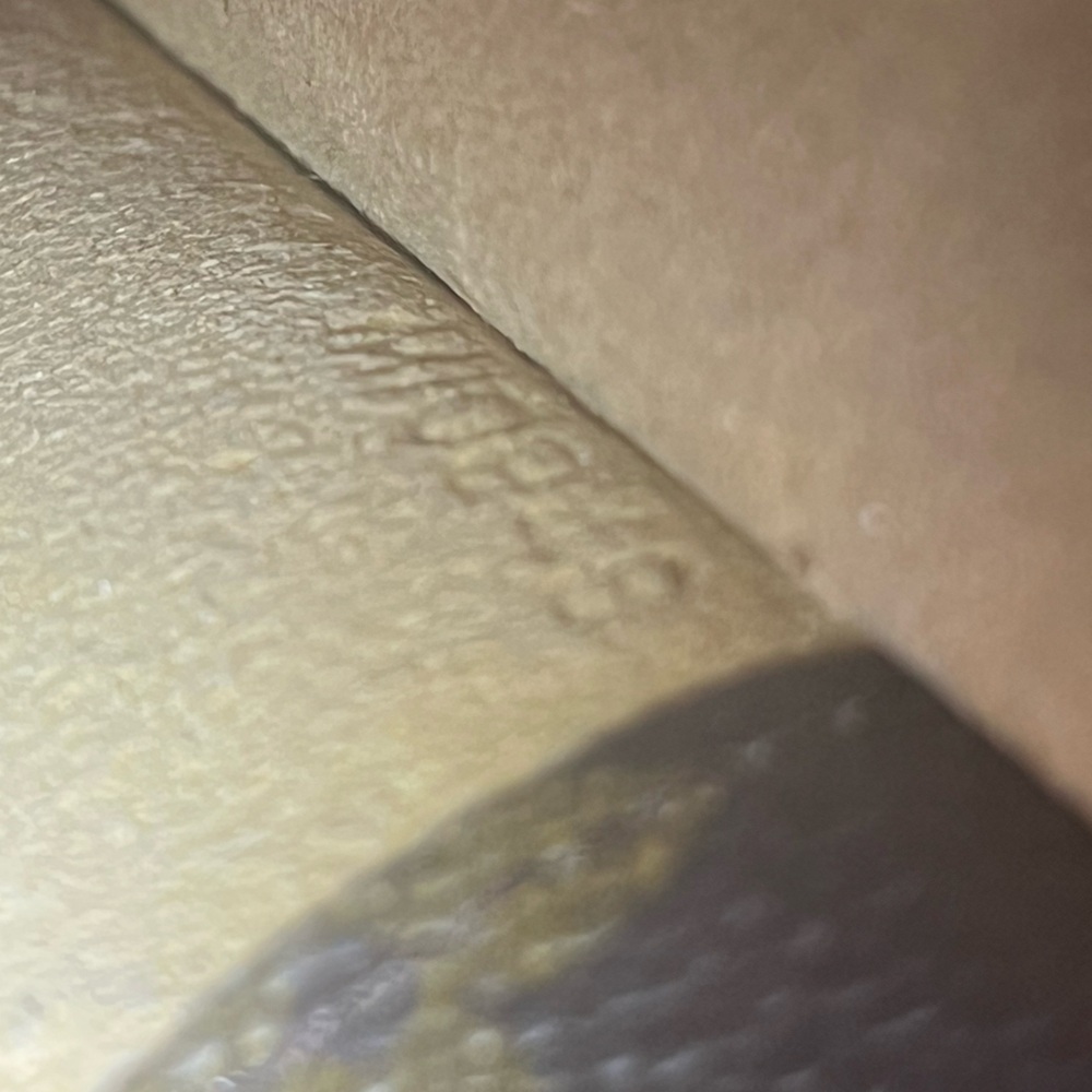Louis Vuitton Soft Sunglasses Case - Picture 9 of 12